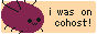 On Cohost