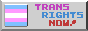 Trans Rights NOW